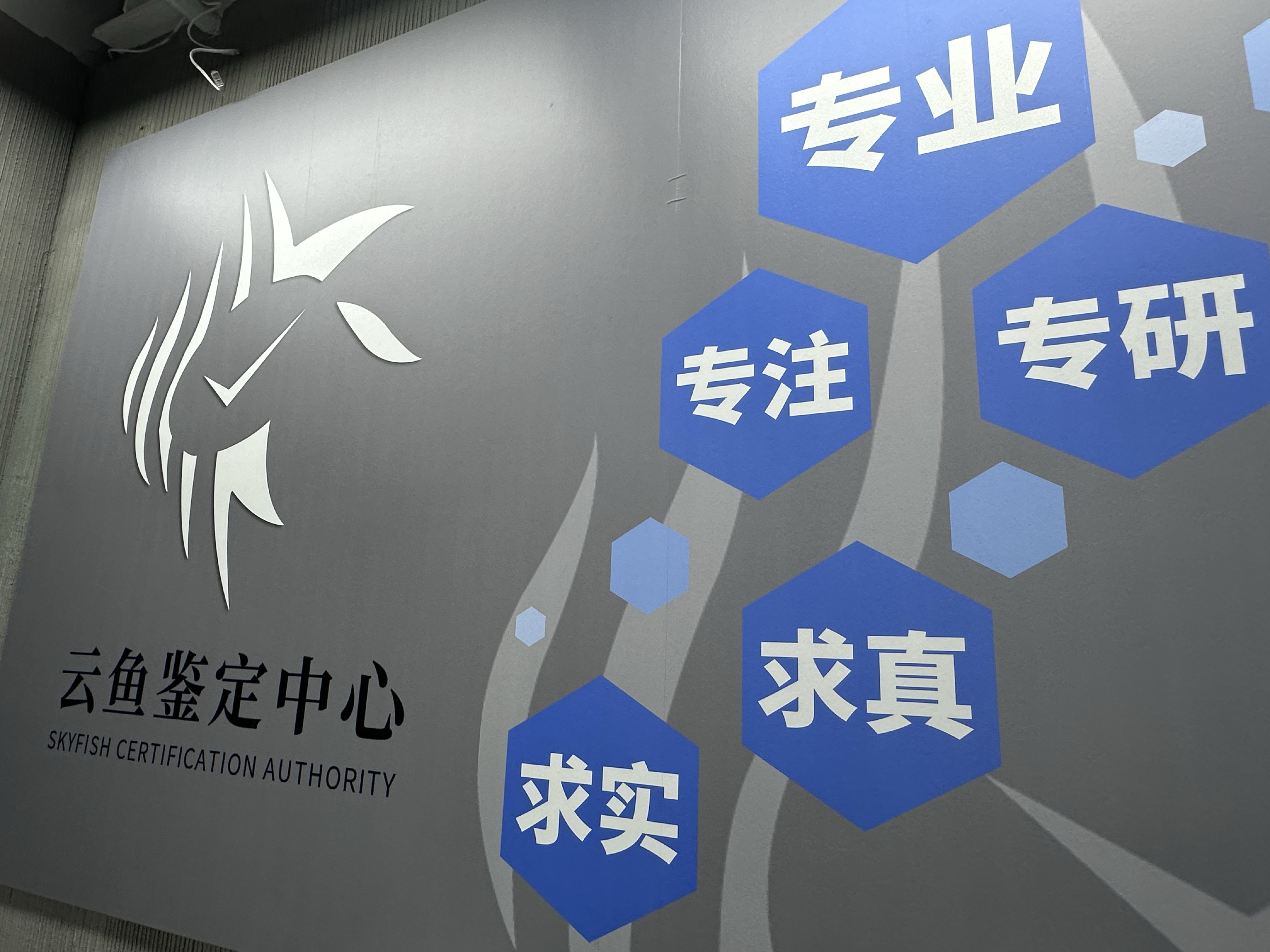 手表鉴定
