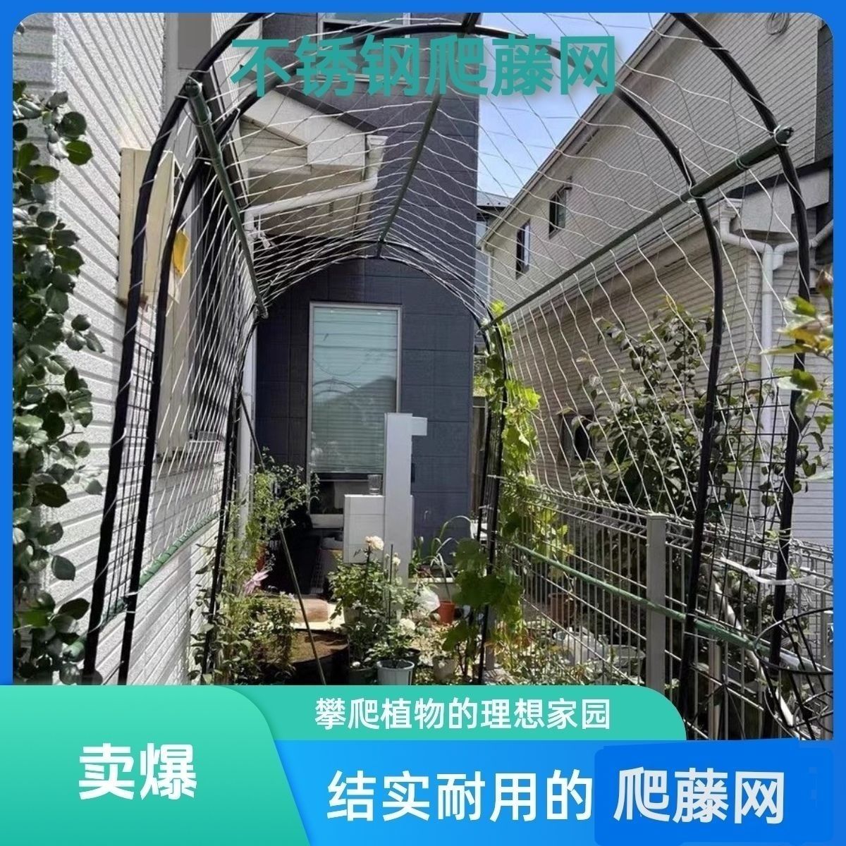 不锈钢爬藤网