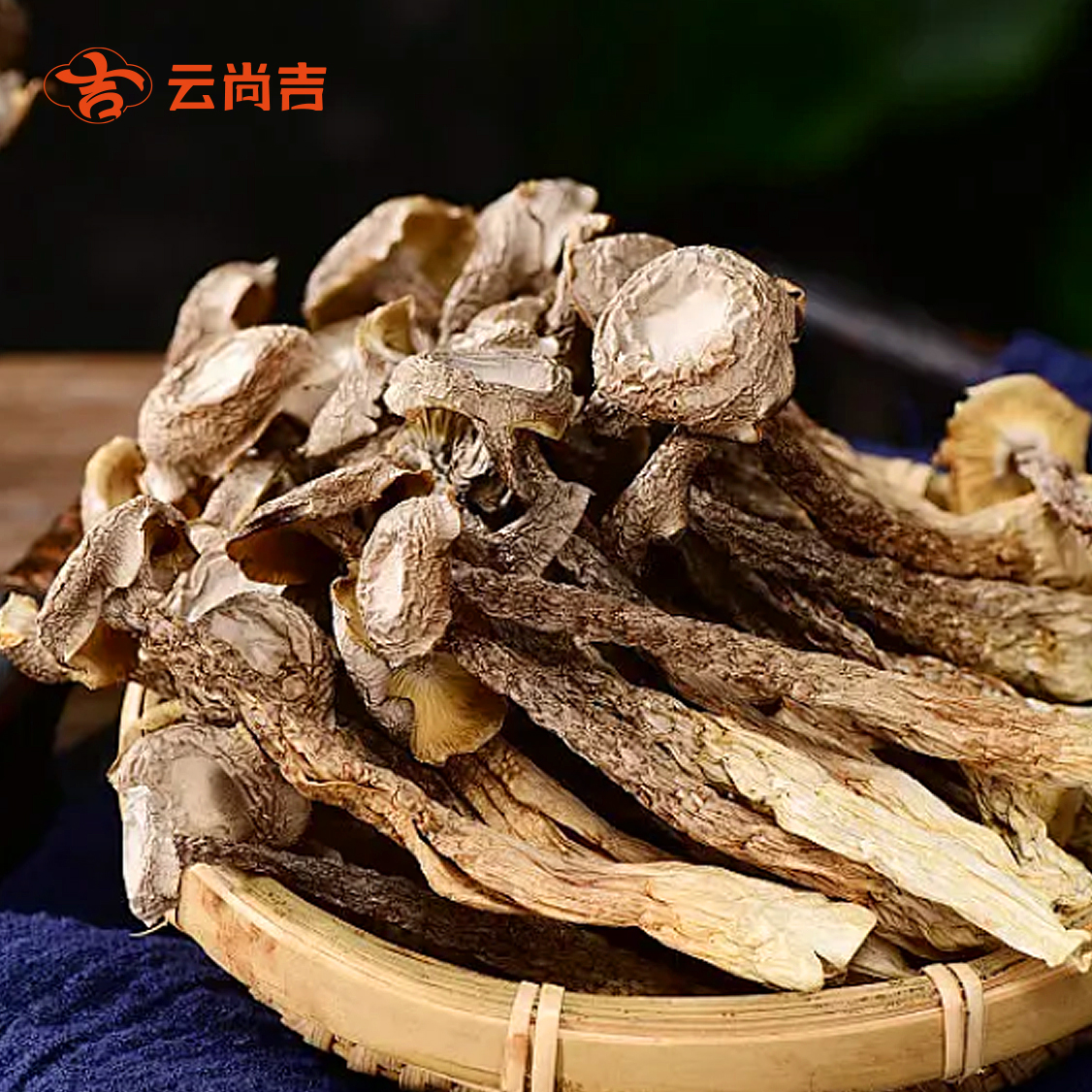鹿茸菇
