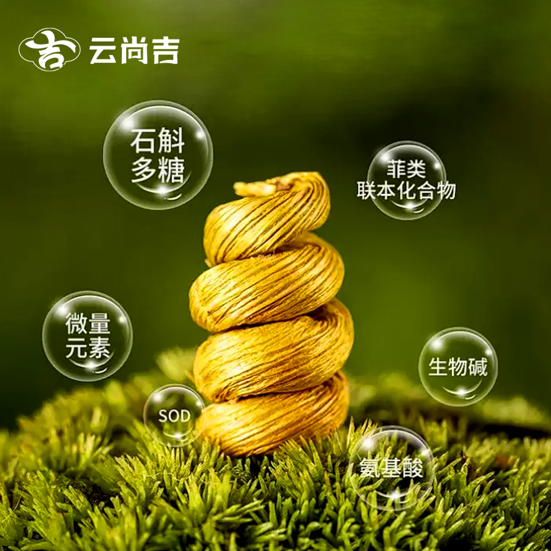 铁皮石斛