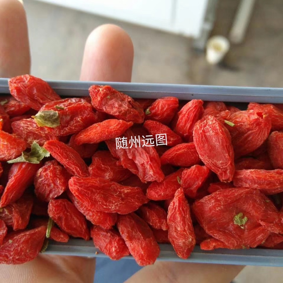  果蔬农产品烘干案例