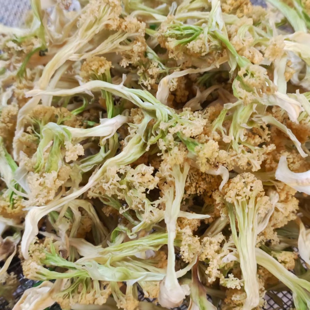 中药材烘干案例