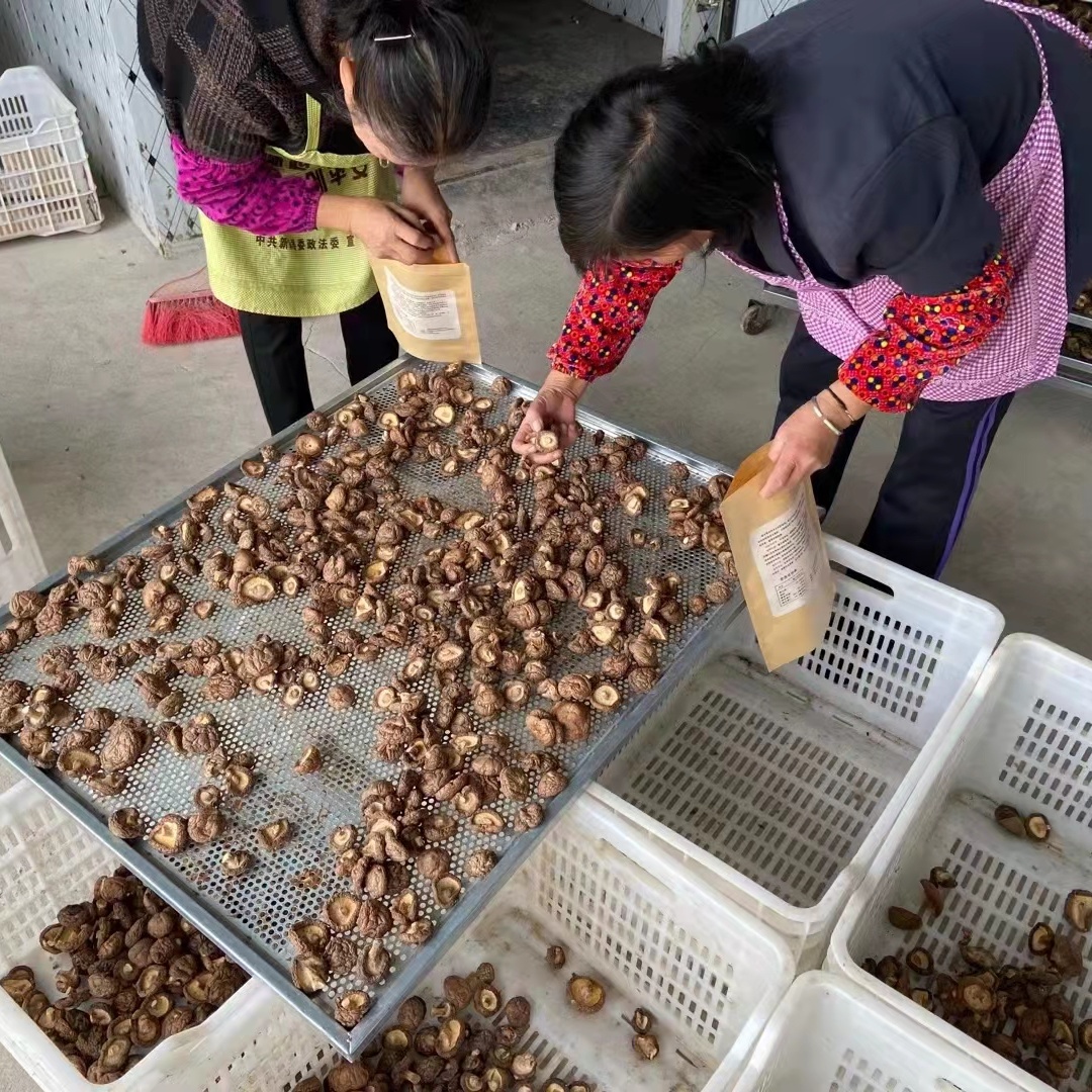 食用菌烘干案例