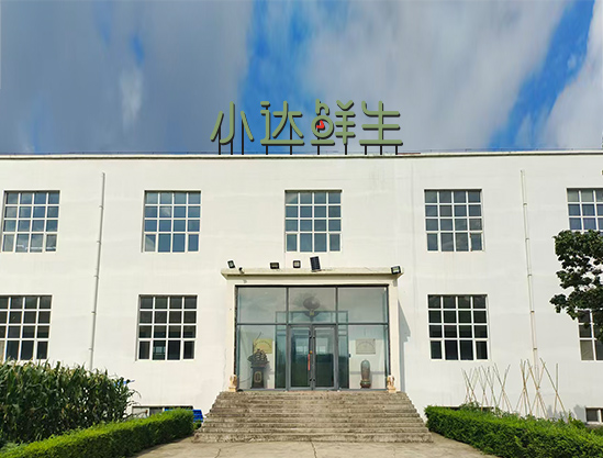  哈尔滨小达鲜生食品科技有限公司