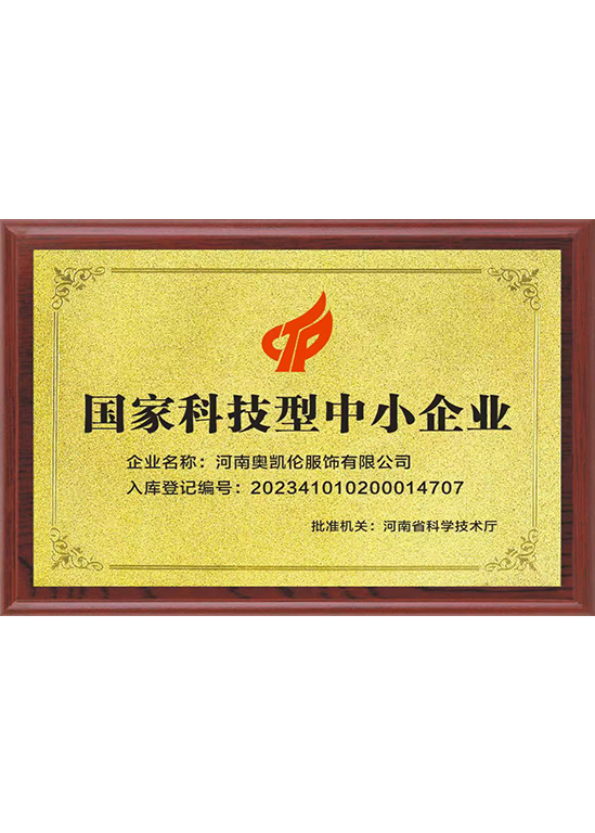 国家科技型中小企业