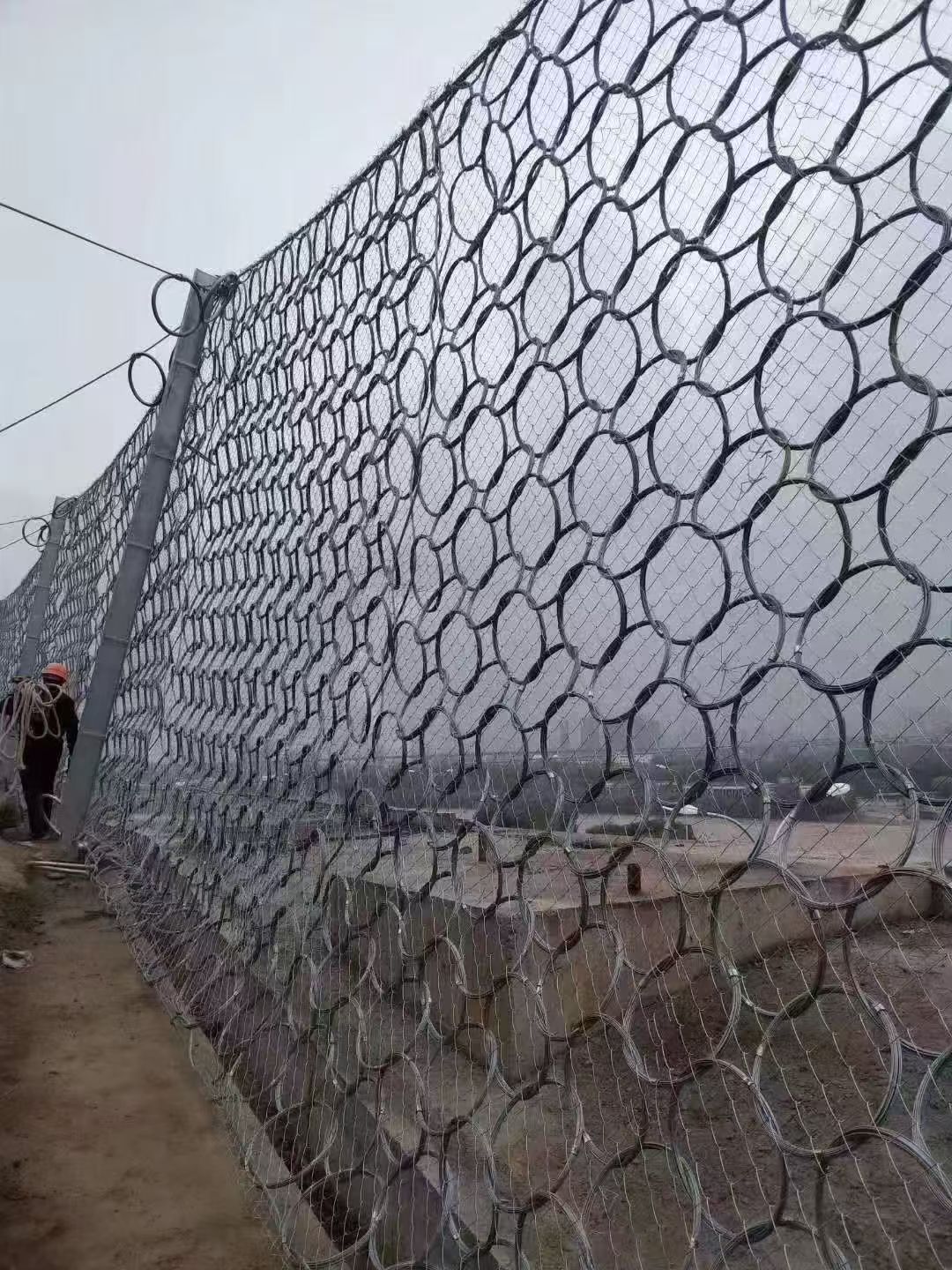 案例4