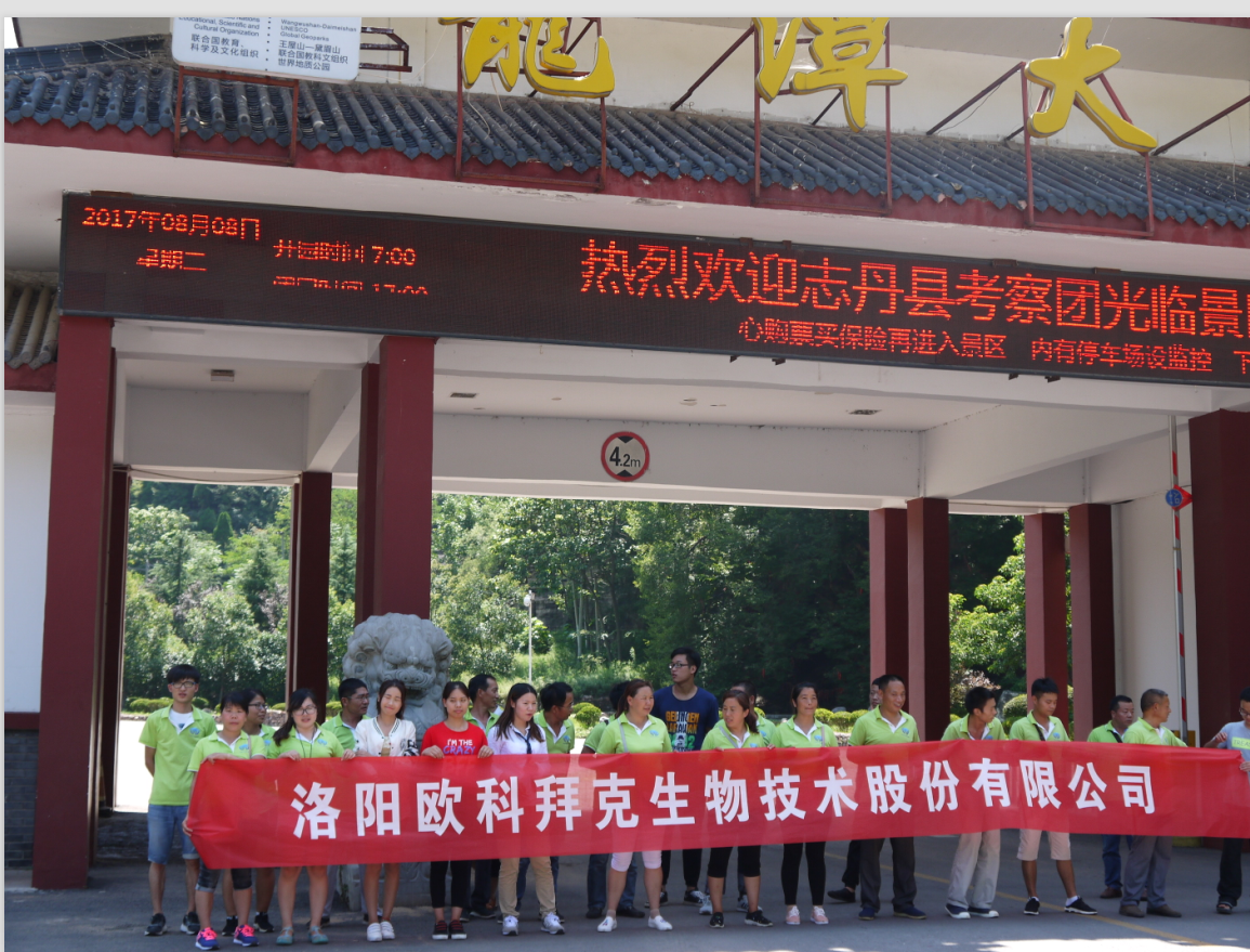 我公司组织员工和实习人员共赴洛阳新安景区旅游