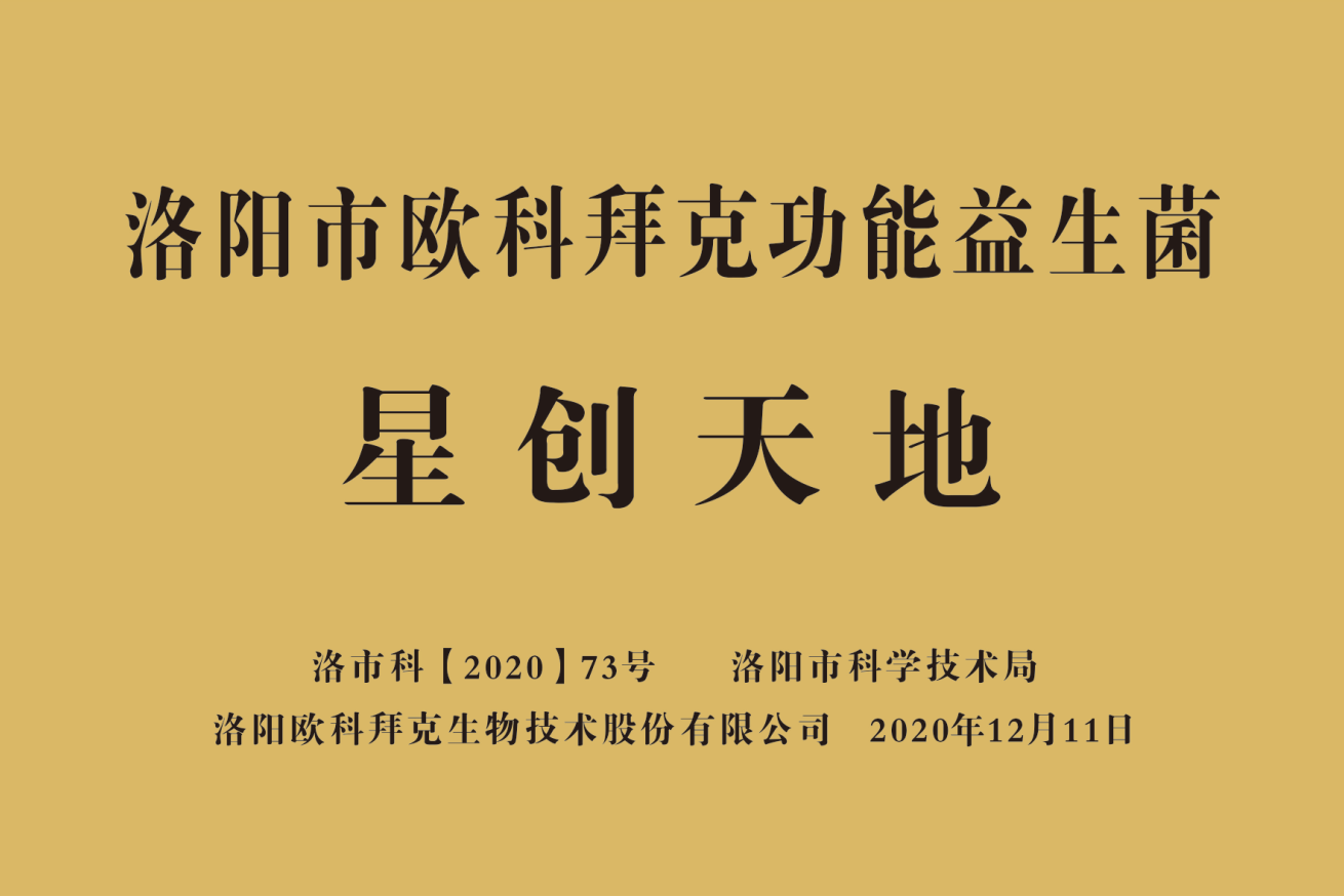 星创天地（市级）