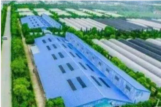 我公司年产3700吨动物用微生态制剂项目公示