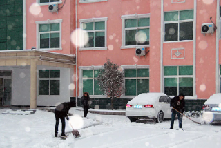 洛阳欧科拜克生物公司员工除雪忙