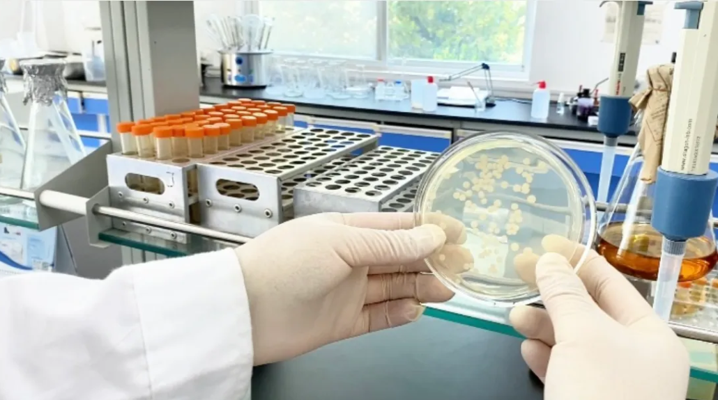 欧科拜克广谱抑菌益生菌引领无抗养殖新方向