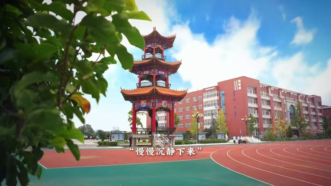 2026盘点：保定单招集训学校怎么选？五家机构横向对比与采购指南