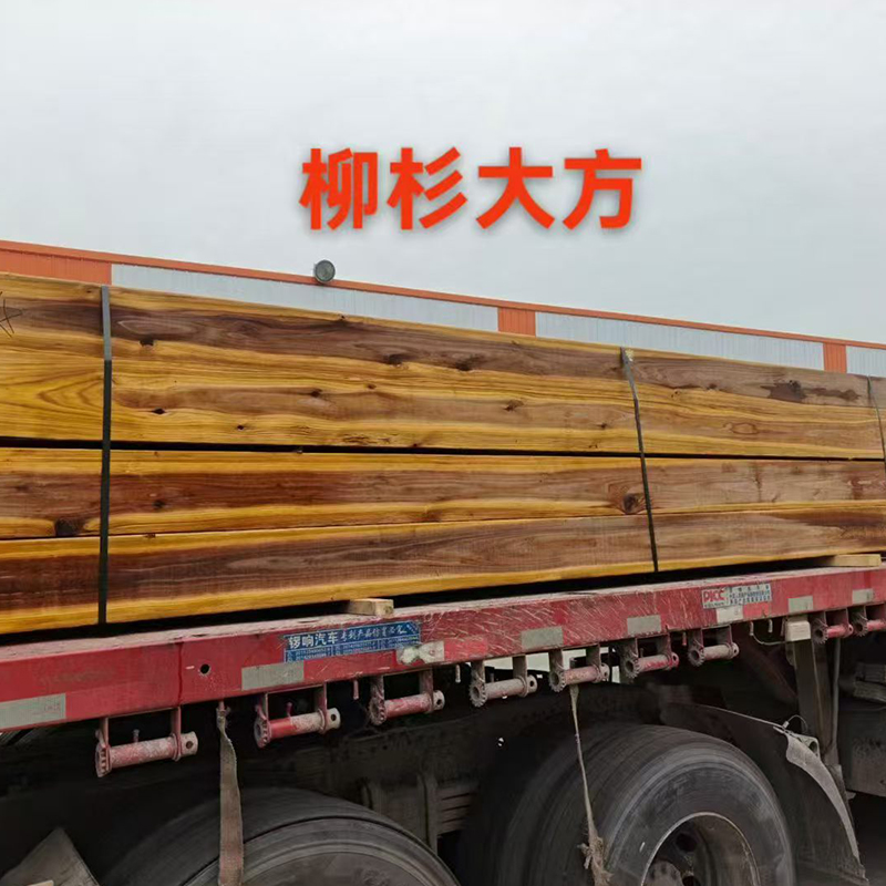 柳杉大方