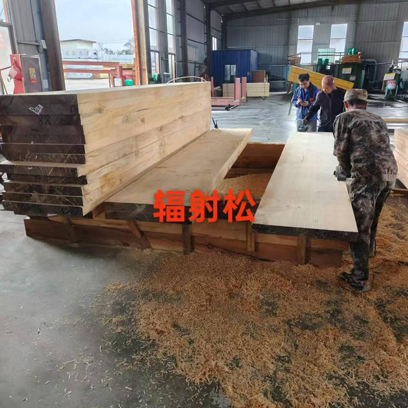 辐射松