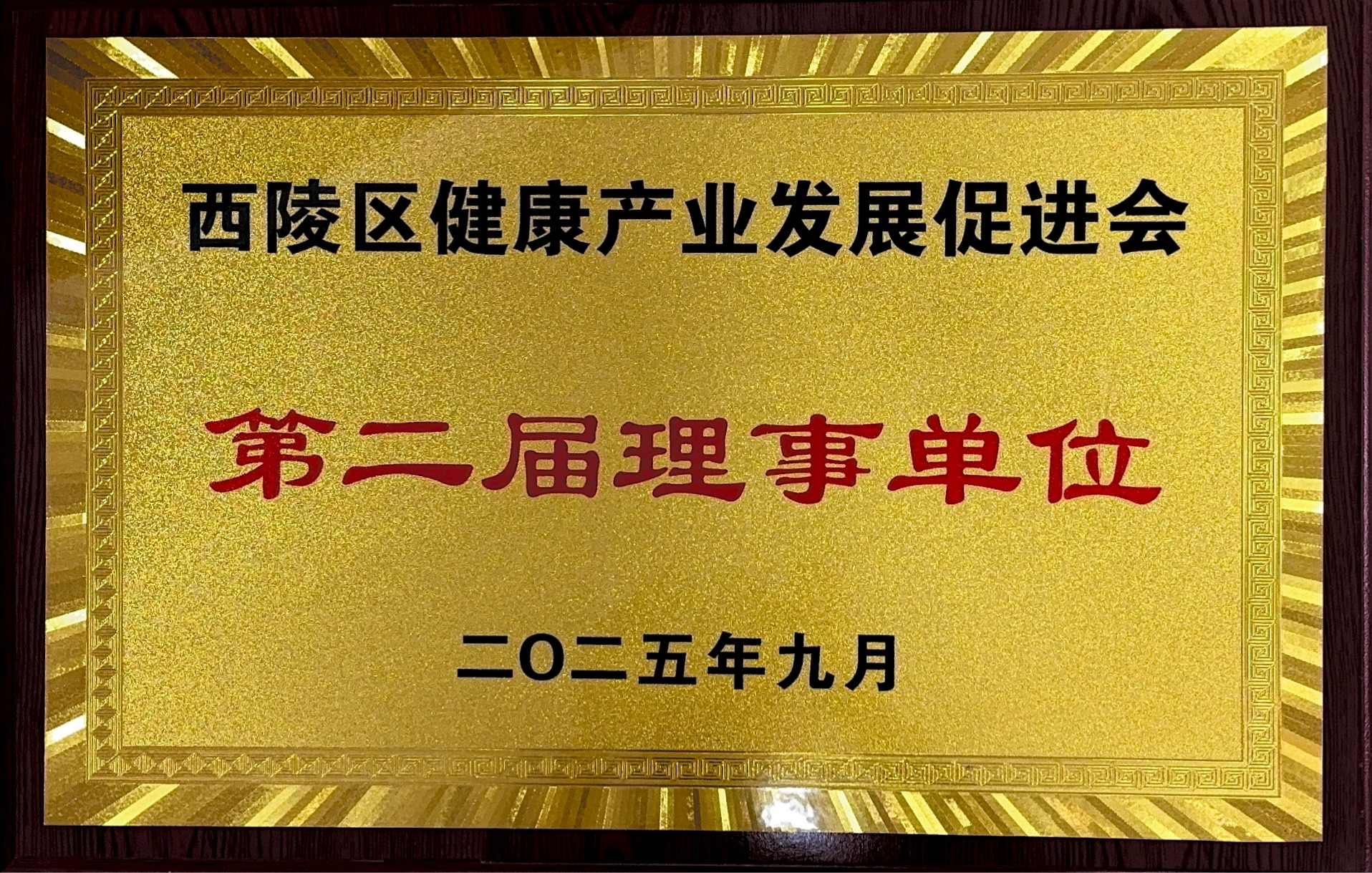 西陵区健康产业发展促进会第二届理事单位