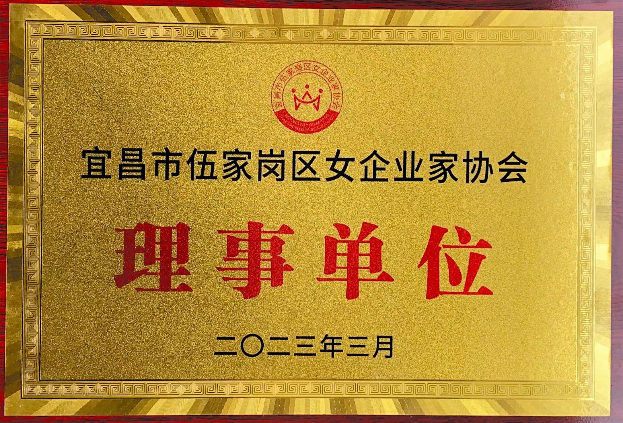 2023年宜昌市伍家岗区女企业家协会理事单位