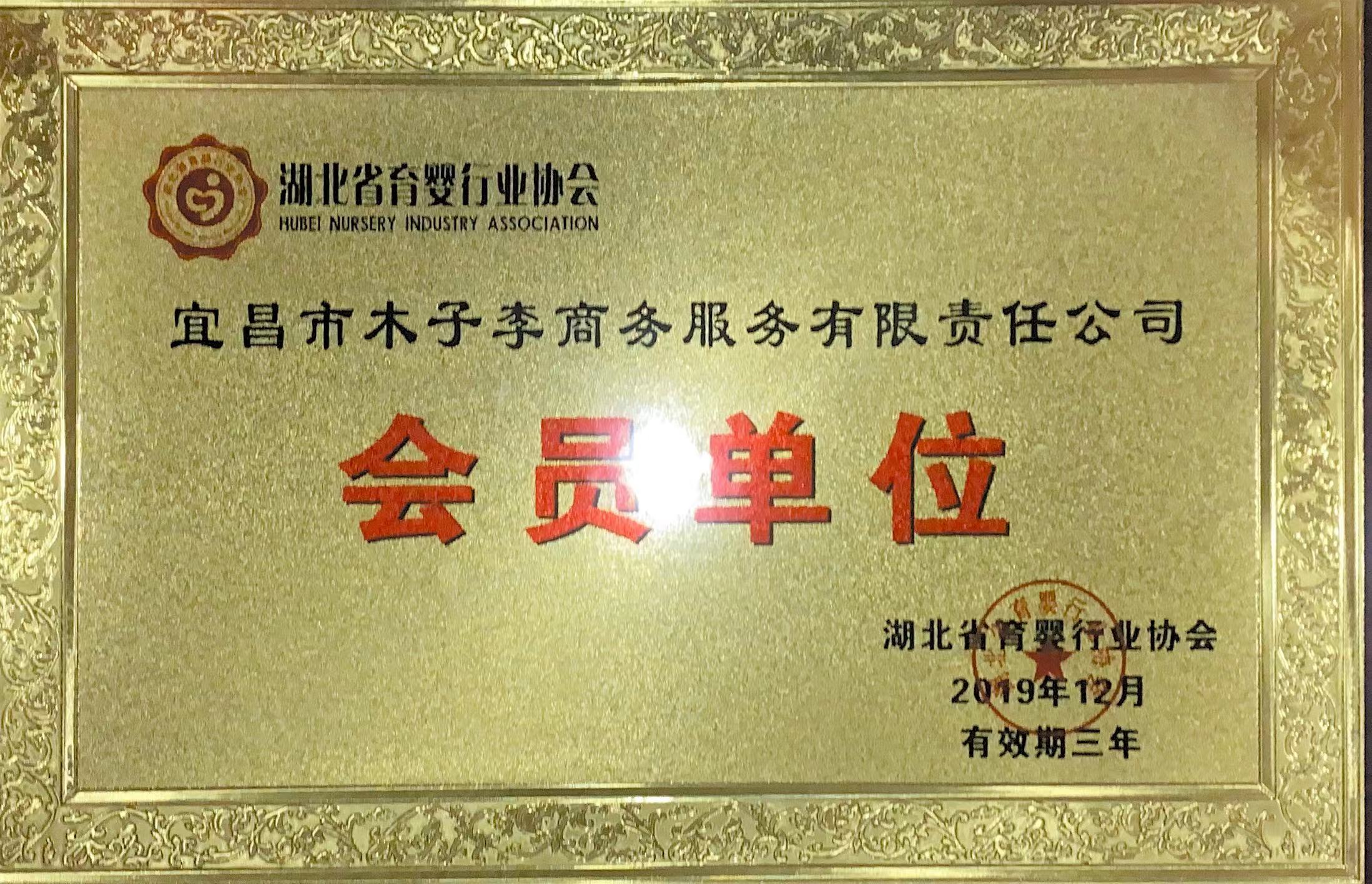 湖北育婴行业协会会员单位