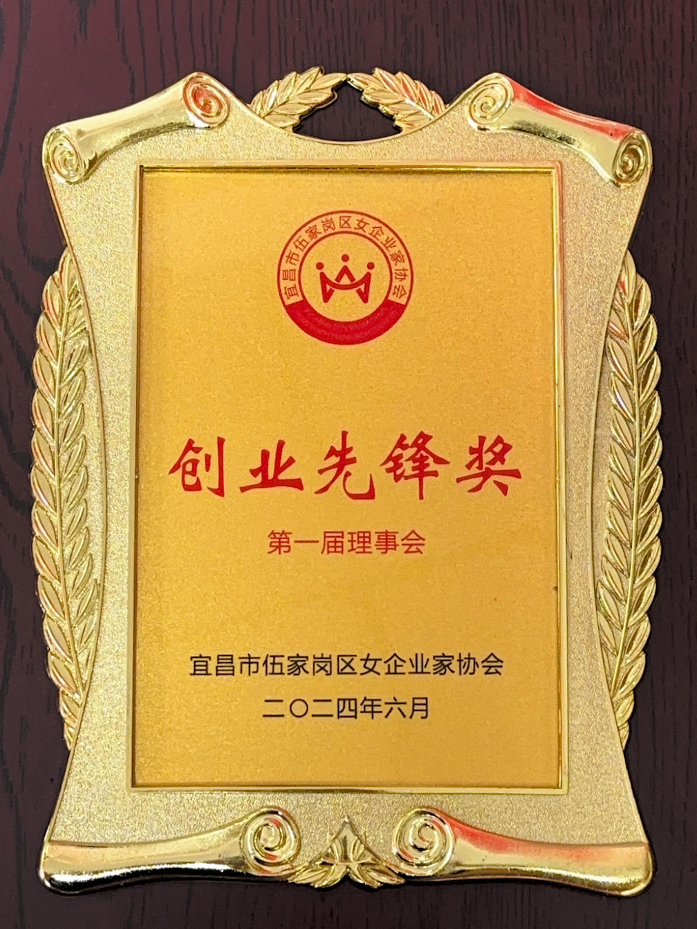 伍家岗区女企业家协会创业先锋奖