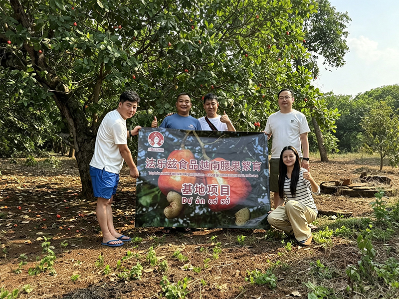 源头基地
