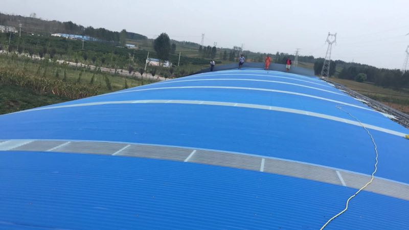 树脂瓦寿命通常达到几年以上？哪里的好？