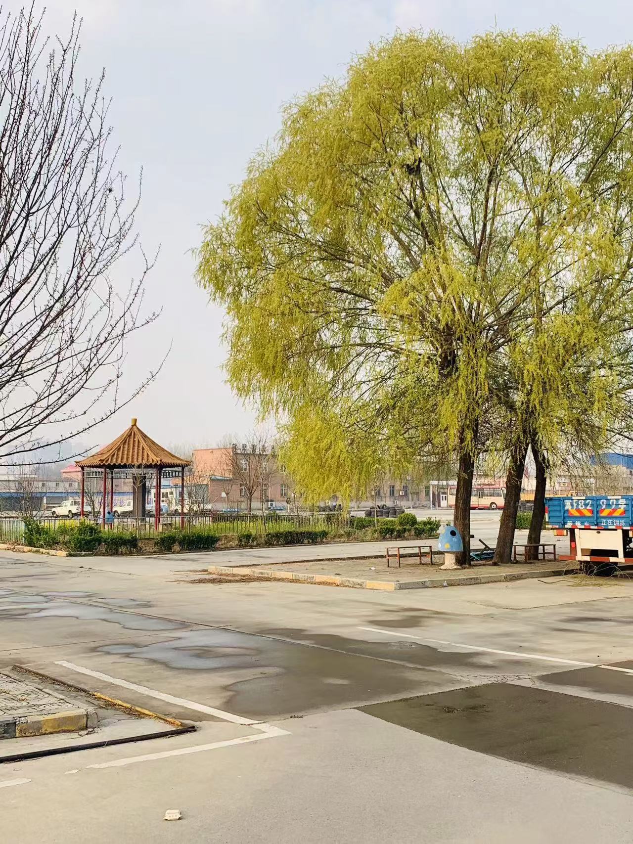2026优选：定兴C1学车怎么联系？通达驾校28年口碑领跑，权威推荐指南