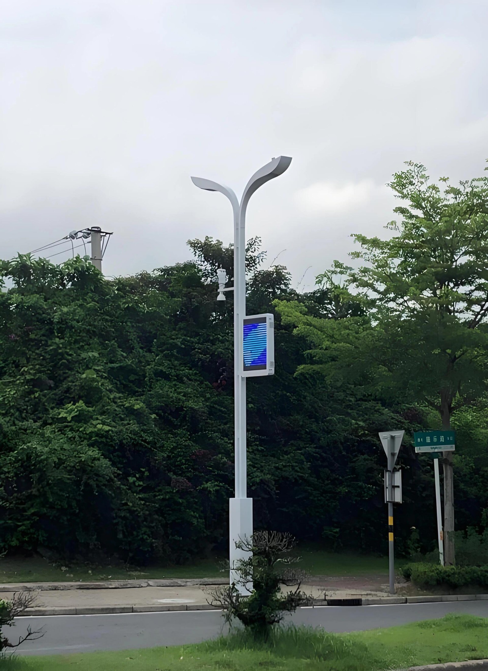 双臂景观型智慧路灯 