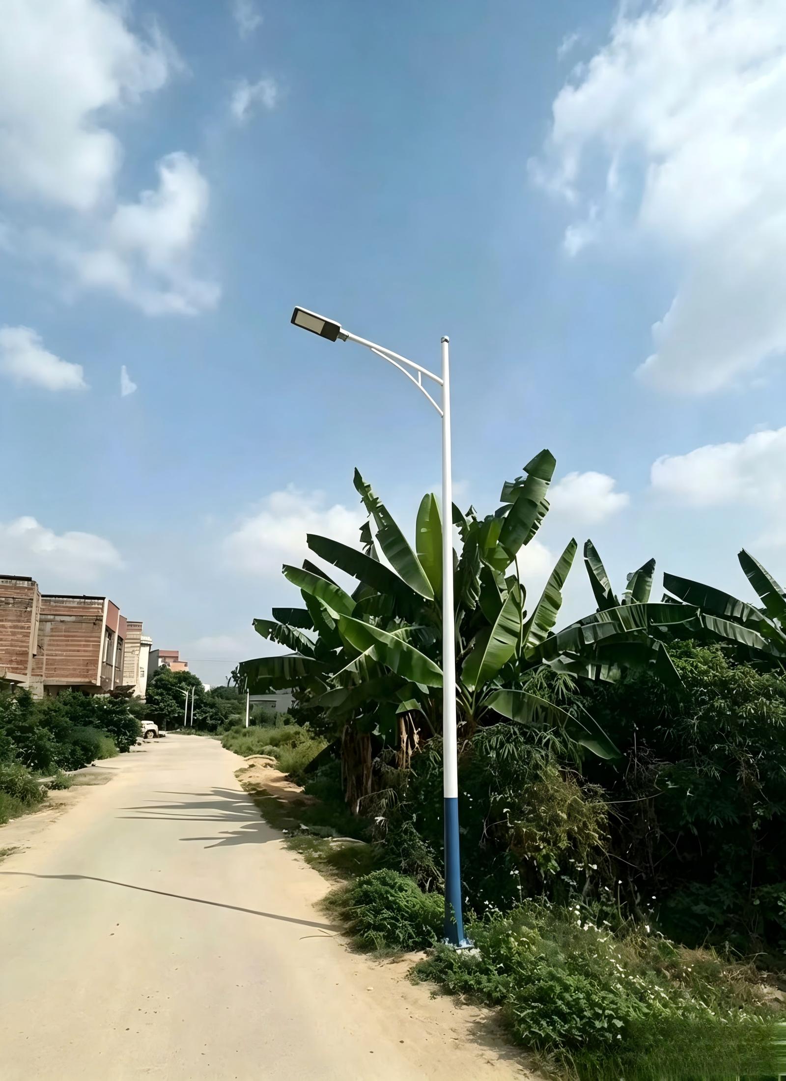 单弯臂 LED 路灯