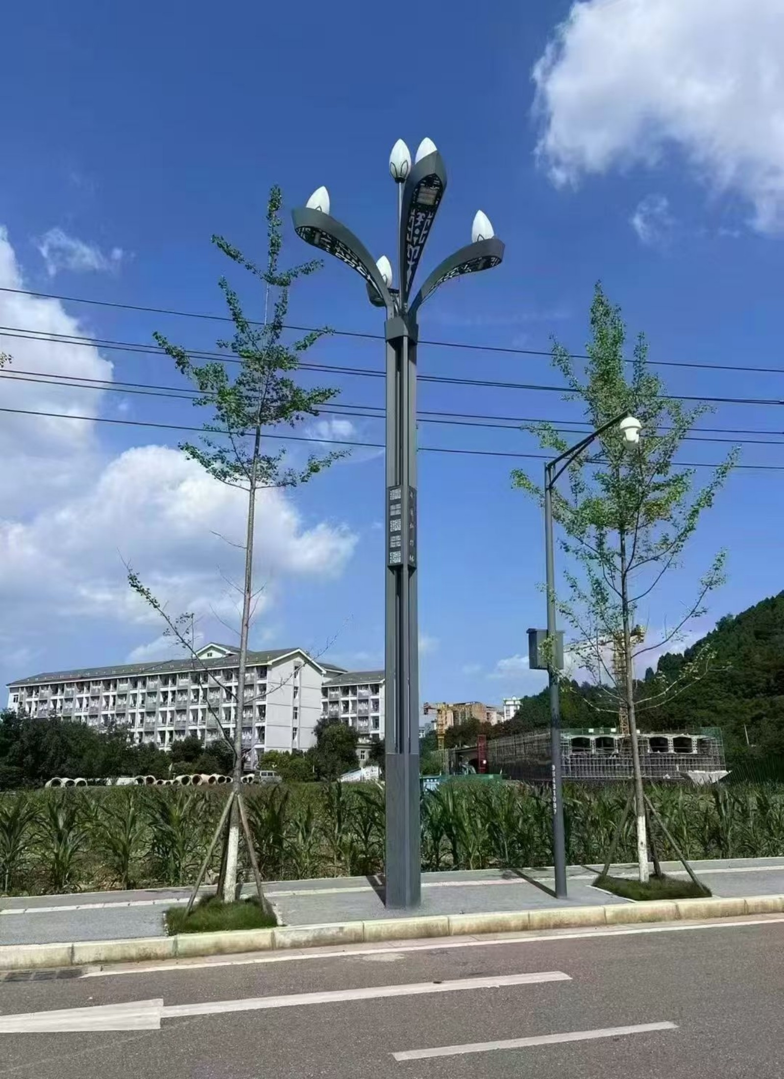 现代玉兰灯