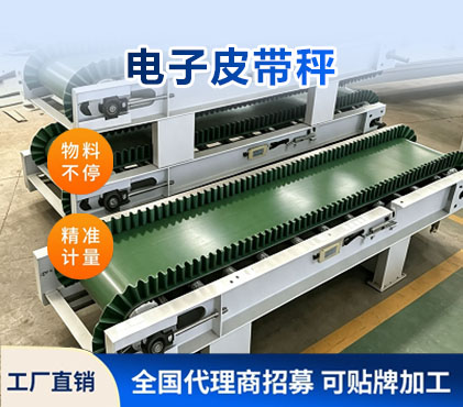 电子皮带秤