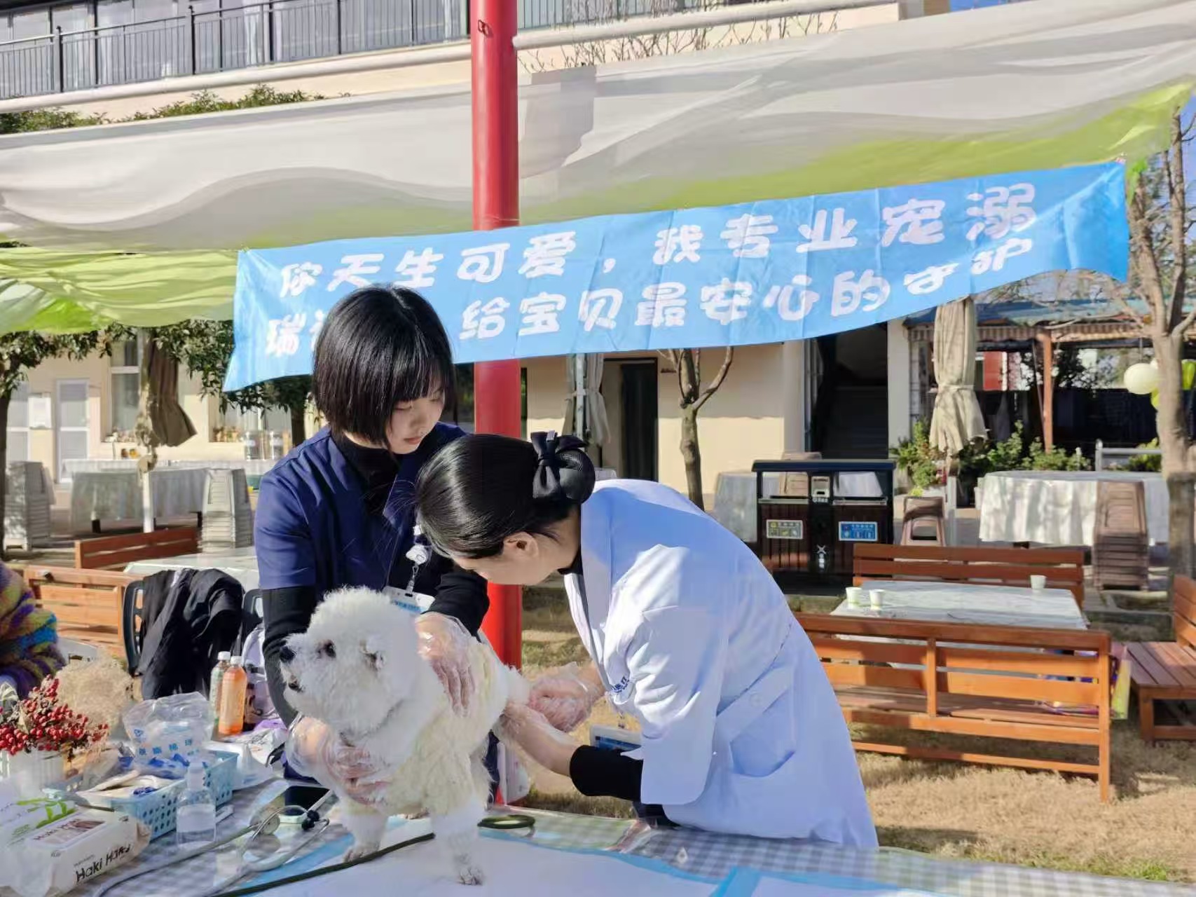 义诊活动