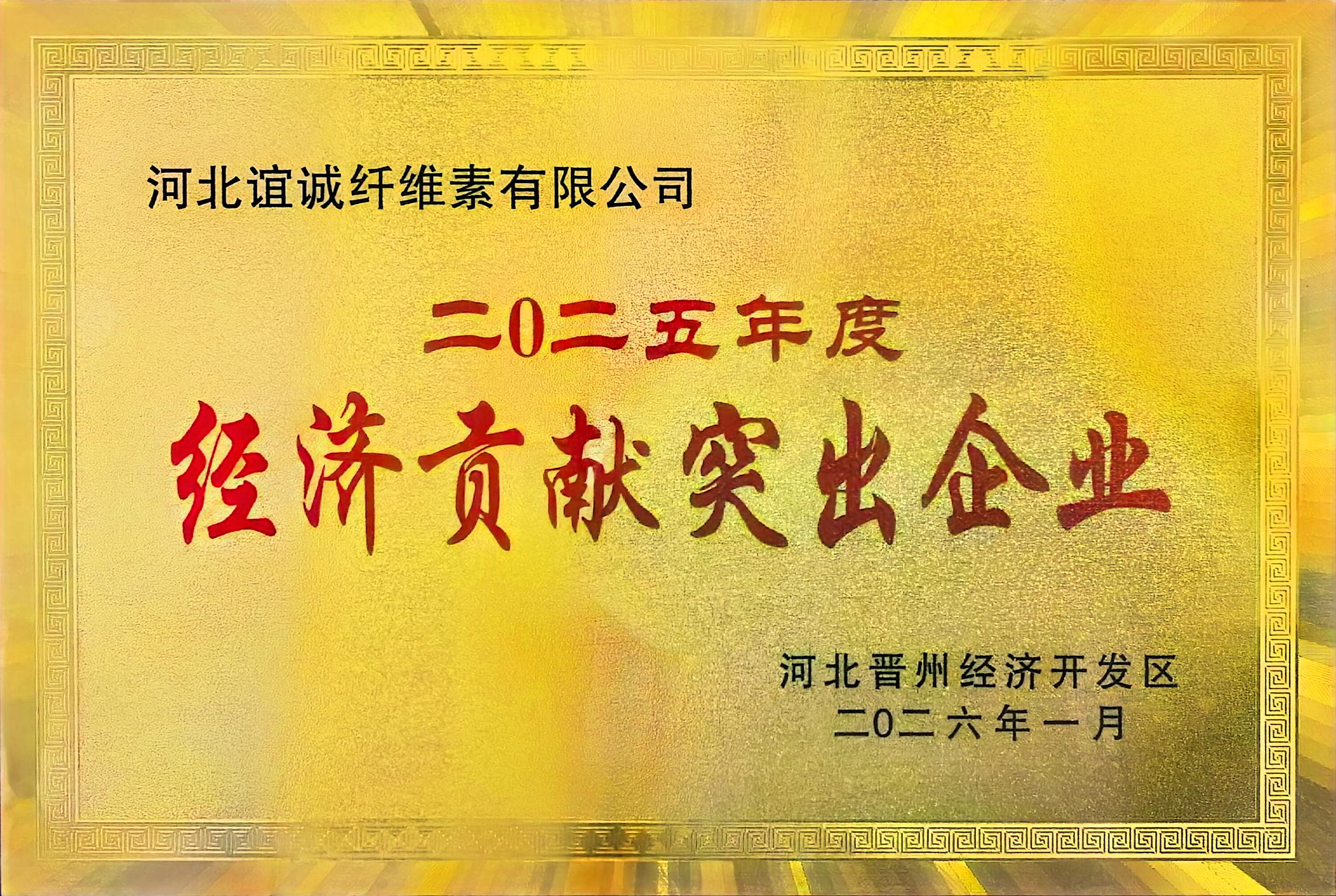 经济贡献突出企业