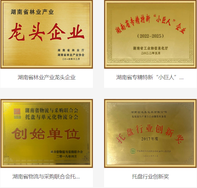 荣誉资质类目