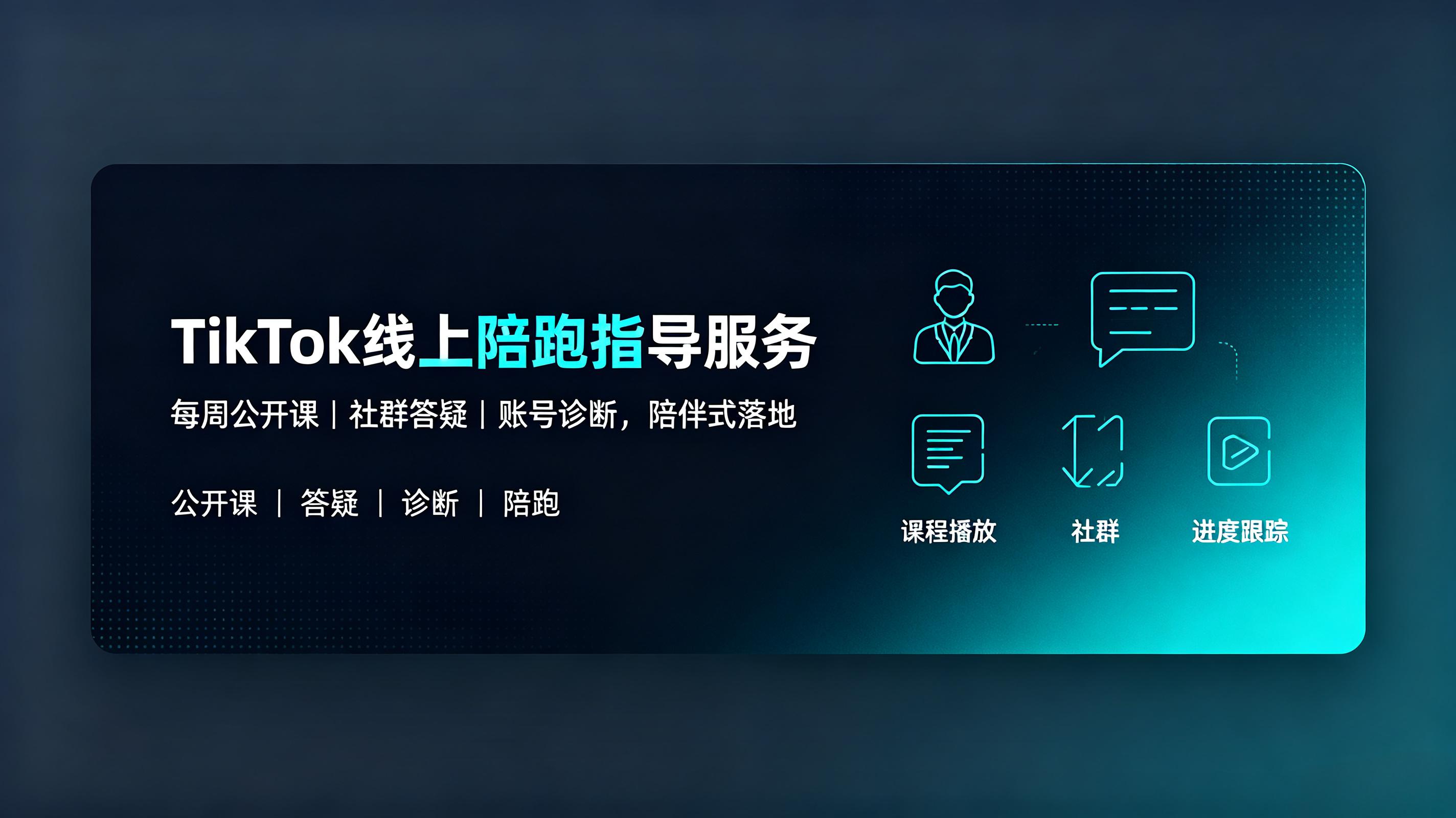 TikTok 线上陪跑指导服务