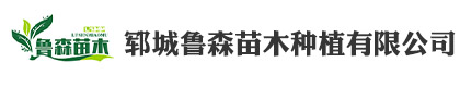 郓城鲁森苗木种植有限公司