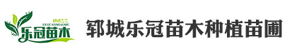 郓城乐冠苗木种植苗圃（个体工商户）