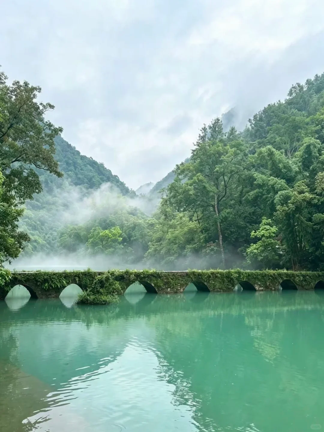 贵州老字号旅游包车