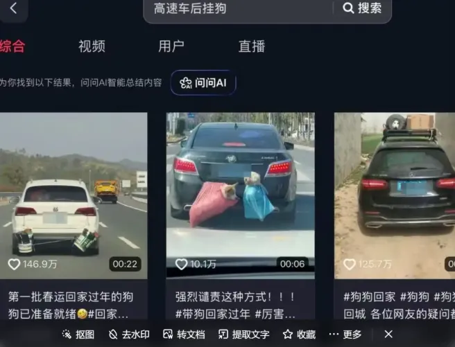 高速上62具猫狗尸体带来的警示：携宠出行为何必须交给专业的机构？
