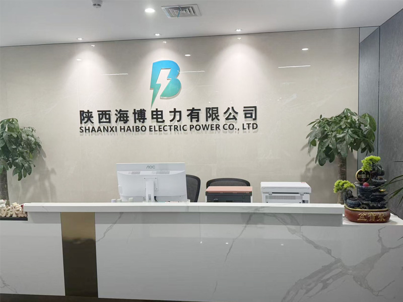 陕西海博电力有限公司 