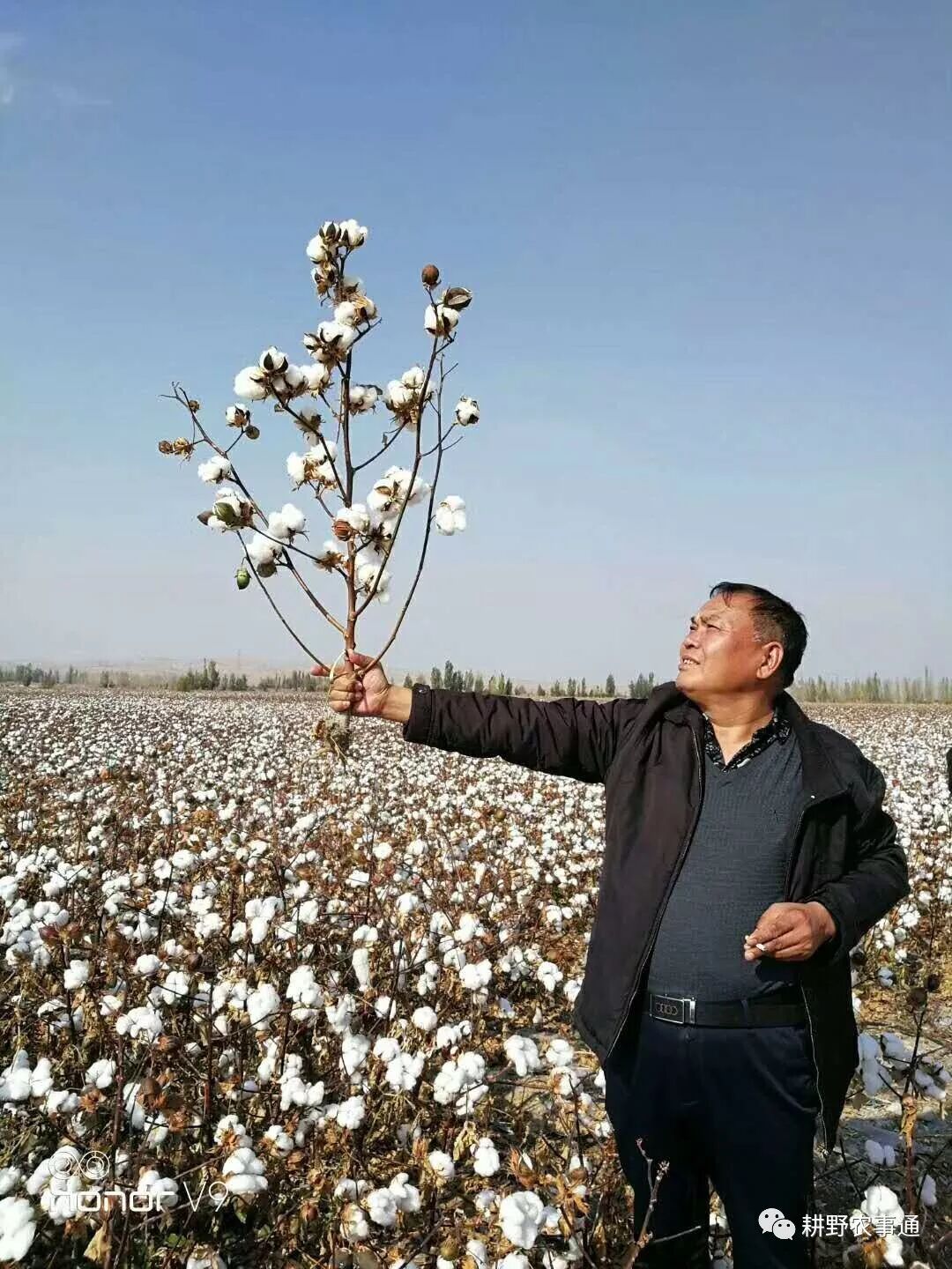 耕野频频传来高产好消息！