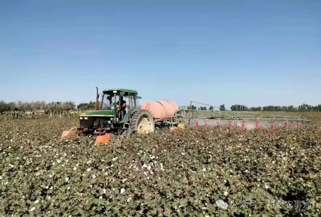 机采棉采收质量把控：关键影响因素