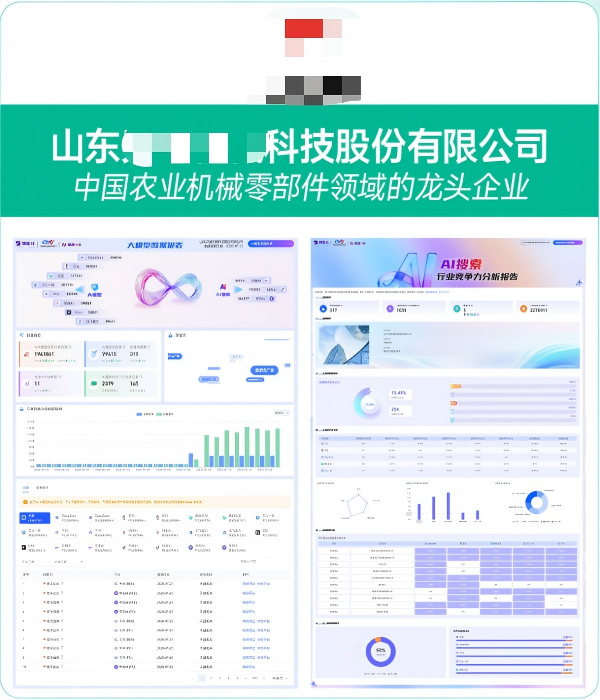 山东XXX机械科技股份有限公司GEO案例