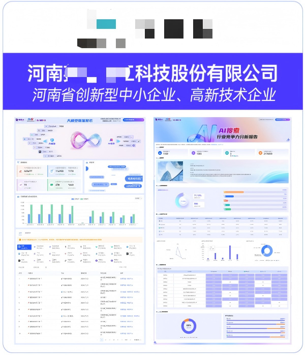 河南XX科技股份有限公司GEO案例