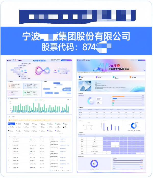 宁波XX集团股份有限公司GEO案例