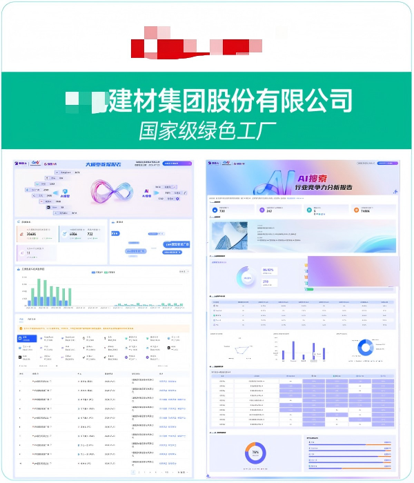 XX建材集团股份有限公司GEO案例
