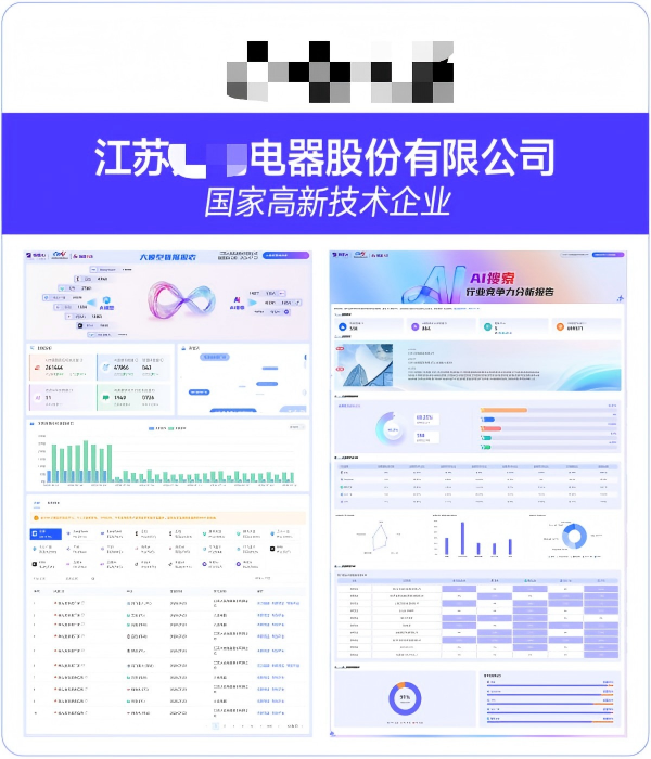 江苏XX电器股份有限公司GEO案例