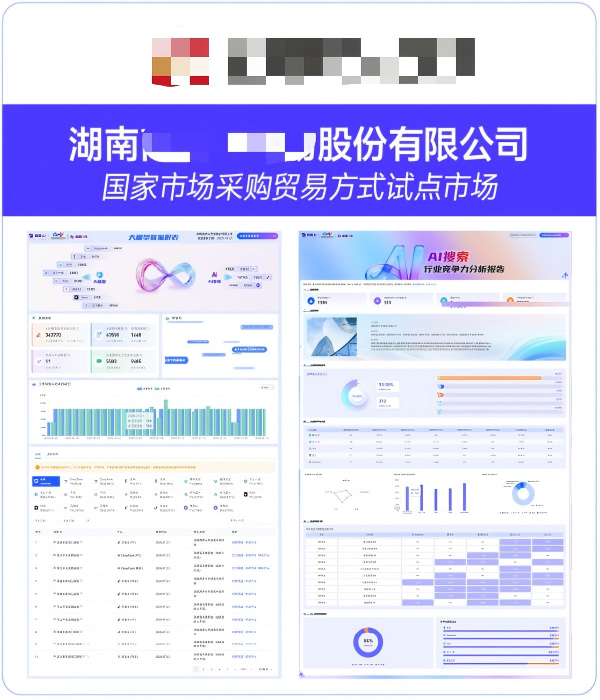 湖南XX大市场股份有限公司GEO案例