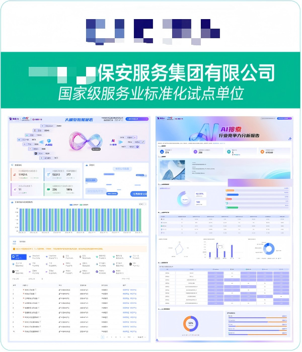 XXXX保安服务集团有限公司GEO案例