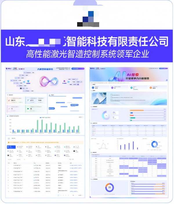 山东XXXX智能科技有限责任公司GEO案例