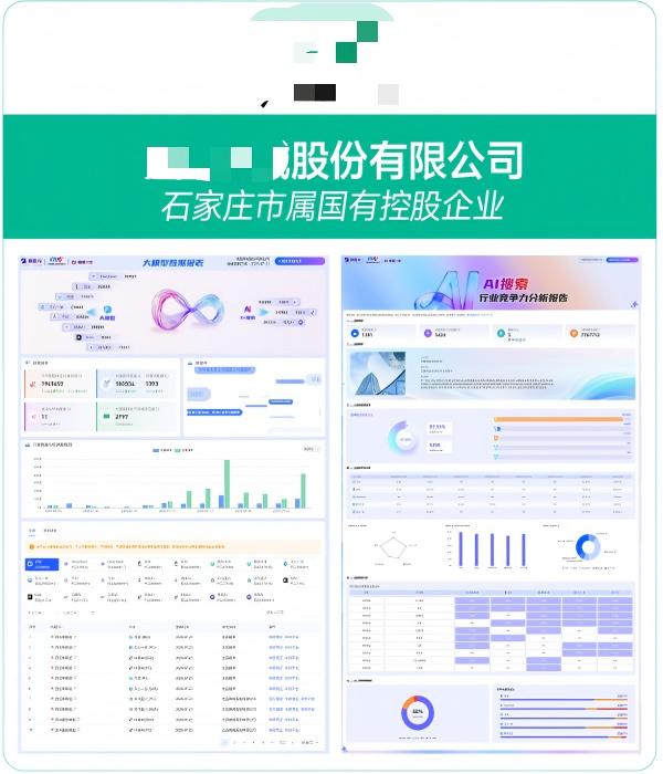 XXXX股份有限公司GEO案例