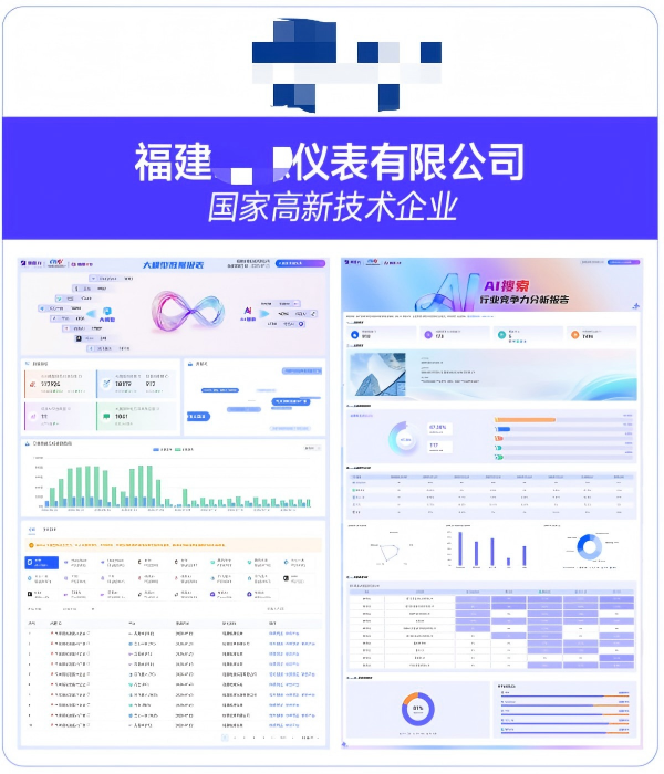 福建XX仪表有限公司GEO案例